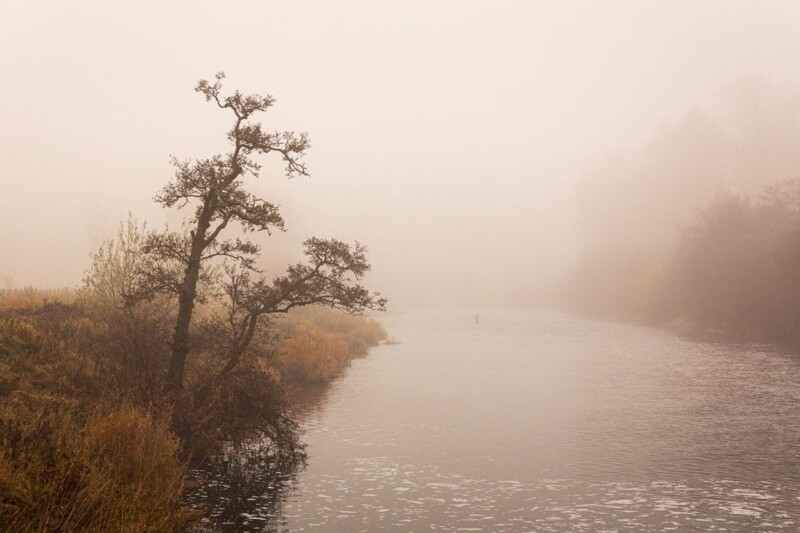 Image of Silent Morning by Noel Fenech Photography